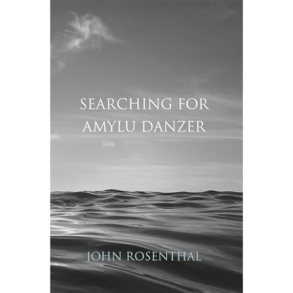 Pre-Owned Searching for Amylu Danzer, 9781911379027, 191137902X, Hardcover,