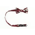 thumbnail image 2 of Spring Notion Boys' Cotton Floral Print Pre-tied Bow Tie, 2 of 4