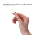 thumbnail image 4 of 600Pcs Disposable Ear Press Seeds Medical Acupuncture Vaccaria Plaster Bean Ears Stickers Acupoint Massage Ear Massage Sticker, 4 of 9