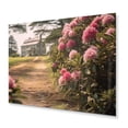 thumbnail image 2 of Designart "Rhododendron Blooms on the Farm II" Floral Metal Art Print, 2 of 5