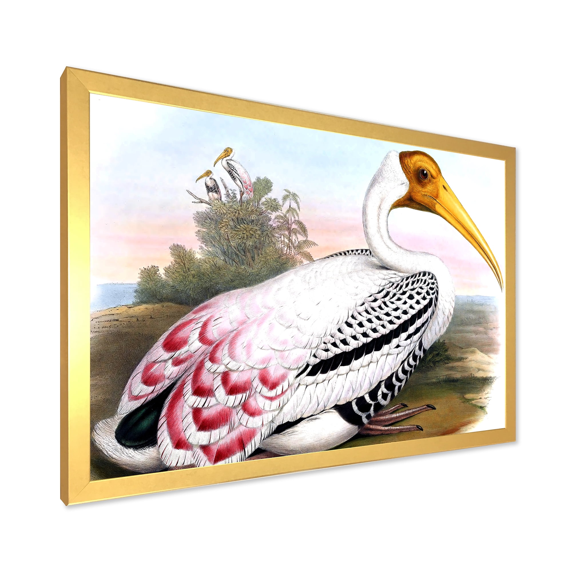 Designart 'Vintage Countryside White Birds' Farmhouse Framed Art Print