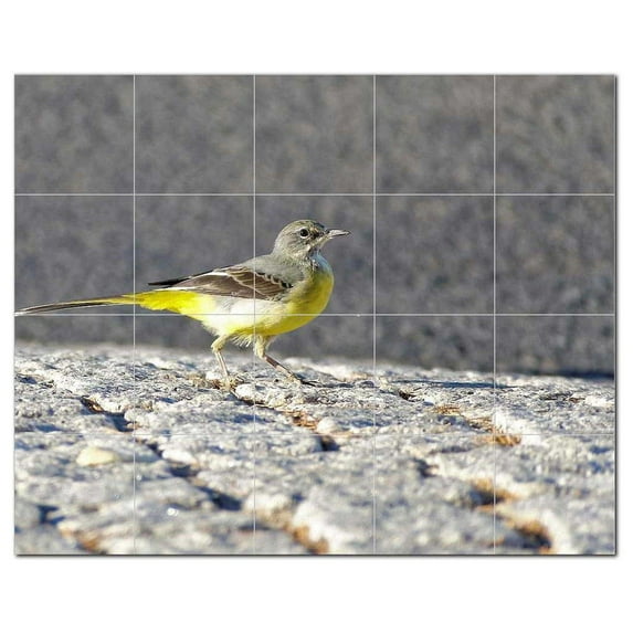 Bird Ceramic Tile Mural Kitchen Backsplash Bathroom Shower, 402180-L54