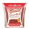 Cutter Scented Citronella Outdoor Candle, Cinnamon Spice, 11-oz