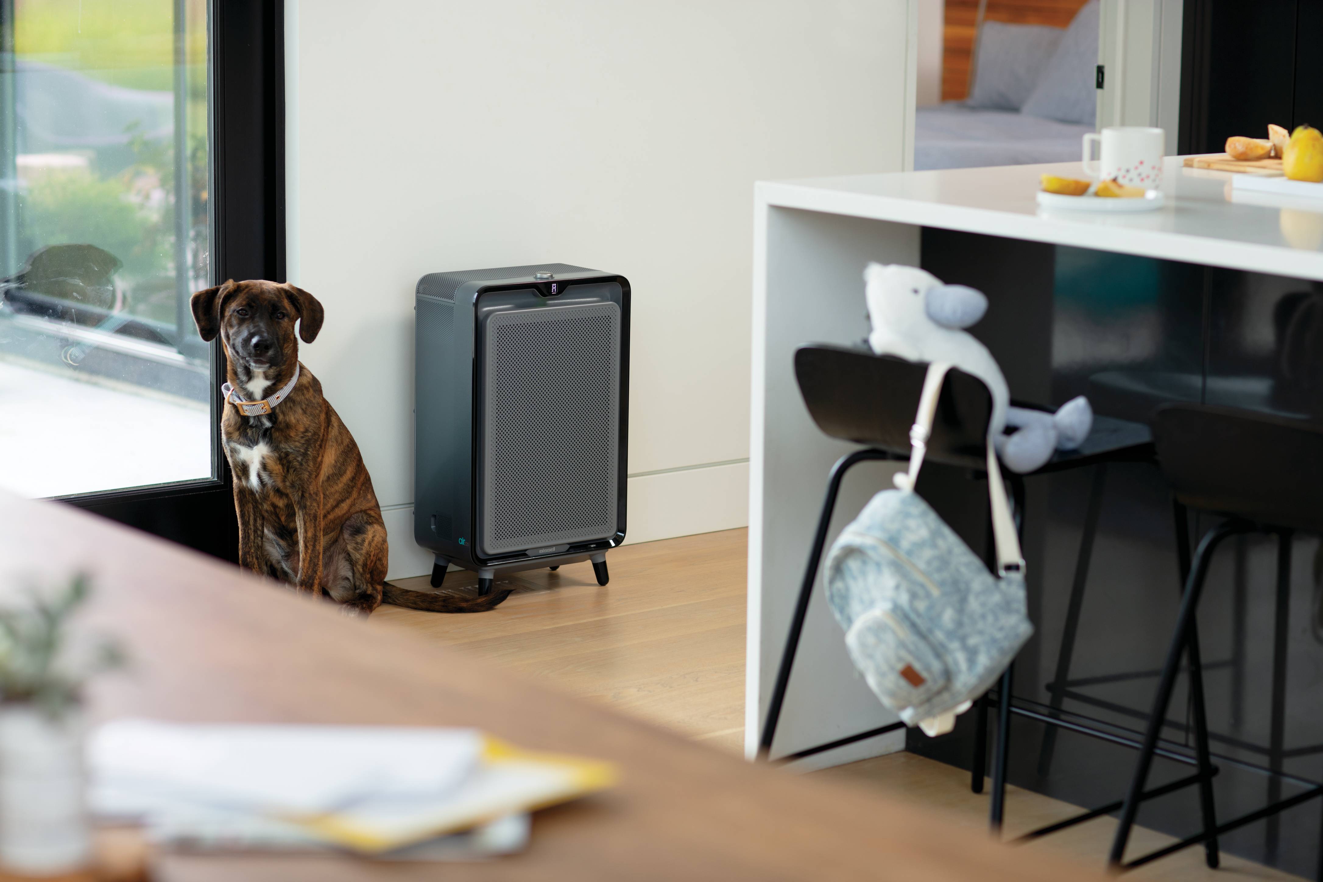 BISSELL air220 Air Purifier, for rooms up to 800 sq. ft., 2609A