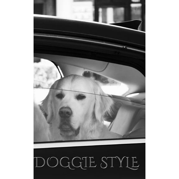 Doogie Style Artist drawing Journal: Doggie Style Journal, (Paperback)