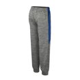 thumbnail image 3 of Youth Colosseum Heather Gray Kentucky Wildcats Fleece Pants, 3 of 3