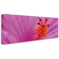 thumbnail image 2 of Trademark Fine Art "Pink Hibiscus Abstract" Canvas Art by Kurt Shaffer, 2 of 3