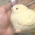 thumbnail image 4 of Keai Juguetes Hechos A Mano para Rascar y Frotar Pollo Amarillo Pequeño Juguete de Regalo de Pollo de Silicona B, 4 of 5