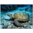 thumbnail image 1 of Turtle Ceramic Tile Mural Kitchen Backsplash Bathroom Shower 402951-L43, 1 of 3