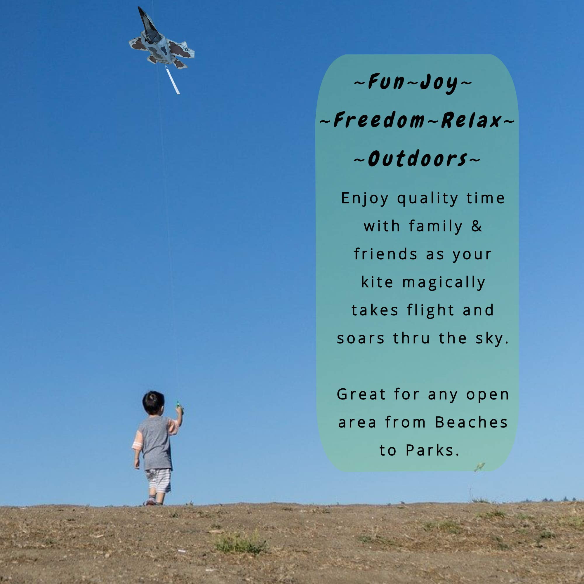 Premier Kites 3D Jet Kite Stealth Attack Design | Easy to Assemble and Easy to Fly 3D Kite | an Enjoyable Kite for Adults and a Thrilling Kite for Kids | Great 3D Kite for The Beach or Park