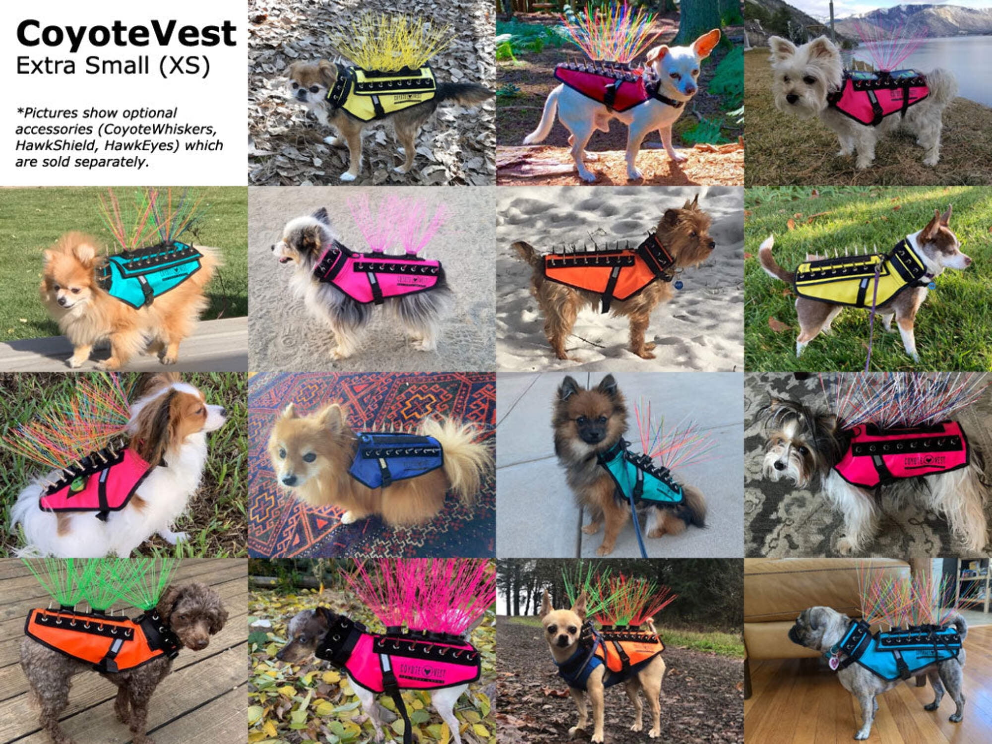 Coyote protection for small dogs hotsell