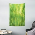 thumbnail image 1 of Bamboo Tapestry, Image of Bamboo Trees with Sun Rays in Rainforest Exotic Wildlife Plants Nature Zen Print, Wall Hanging for Bedroom Living Room Dorm Decor, 40W X 60L Inches, Green, by Ambesonne, 1 of 2