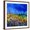 Brown Frame, variant on Art.com Blue Cornflowers 7741 Art Print by Pol Ledent, 24" x 24"