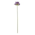 thumbnail image 1 of Hill Interiors Agapanthus Artificial Flower Spray, 1 of 1