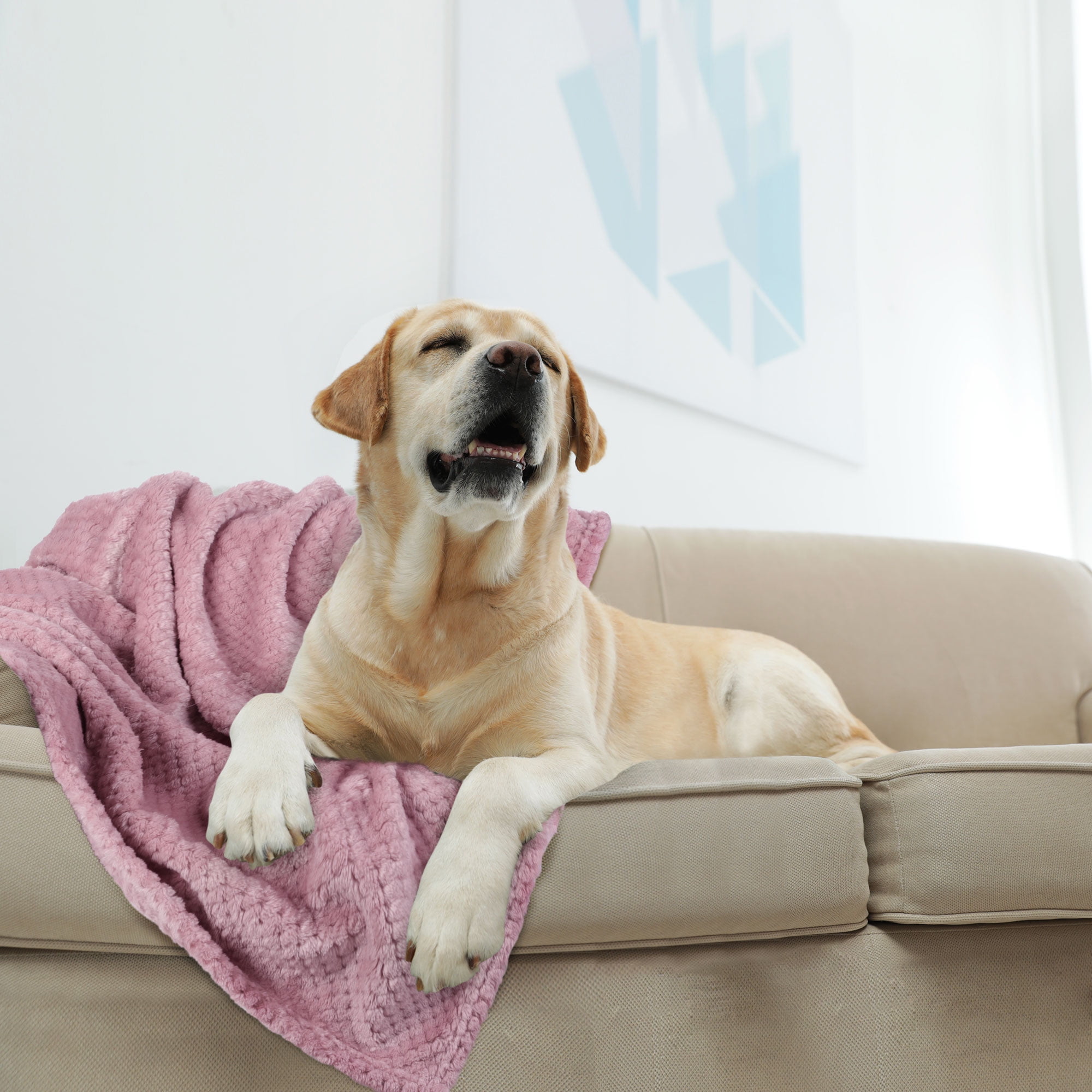 Unique Bargains Soft Flannel Fleece Velvet Blanket Pink 30" x 40"