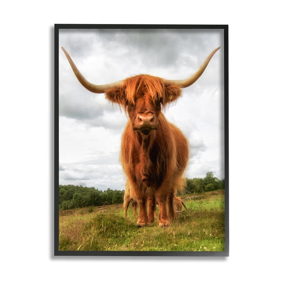 Stupell Industries Highland Cattle Long Horns Grazing Farm Ranch Photograph Black Framed Art Print Wall Art, Design by James Dobson