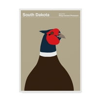 Trademark Fine Art 'South Dakota Pheasant' Canvas Art by Print Collection - Artist