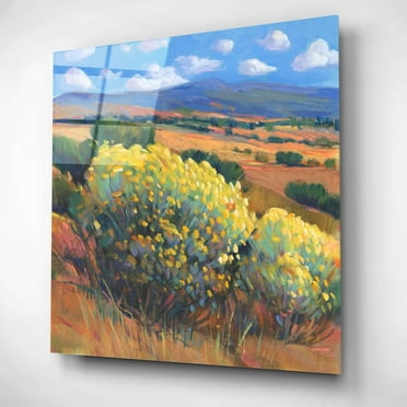 Epic Art 'Chamisa I' by Tim O'Toole, Acrylic Glass Wall Art, 12"x12"