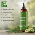 thumbnail image 3 of Botanic Hearth Bhringraj & Amla Hair Oil | Nourishing Scalp & Hair Oil for Dry, Frizzy Hair | Supports Fuller-Looking Hair & Shine | Lightweight Botanical Formula | No Harsh Additives | 6.7 fl oz, 3 of 13