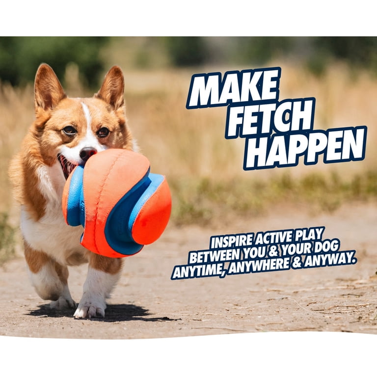 Chuckit! Kick Fetch Canvas Ball, Small 5.5" for Small Dogs photo 2
