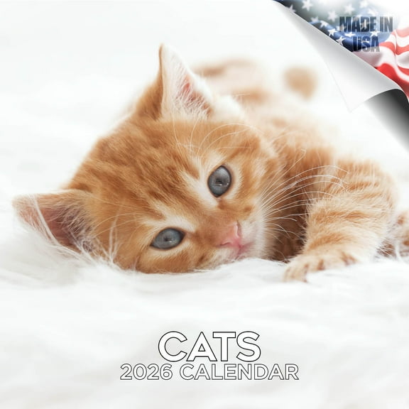 2025 2026 Cats Calendar - Cute Animal Monthly Wall Calendar - 12 x 24 Open - Thick No-Bleed Paper - Giftable - Academic Teacher's Planner Calendar Organizing & Planning - Made in USA