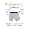 thumbnail image 4 of Little Star Organic Boys Boxer Briefs Underwear, 7Pk, Size 6-20, 4 of 7