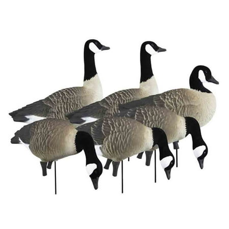 Higdon Apex Full Size Full Body Canada Goose Decoys 6 Pack