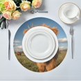 thumbnail image 5 of IAUYY Set of 4 Round Placemats for Dining Tables Heat-Resistant and Wear-Resistant DIY Printing Design Table Placemats，Applicable for Christmas Covered in B, 5 of 7