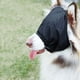 thumbnail image 3 of Máscara para los ojos con gorro calmante para perros, máscara para la ansiedad de mascotas, bozal de nailon con sombreado para gatos para el cuidado del perro, antimareos en el coche, bozal, 3 of 8