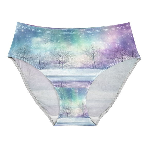 Women's Underwear Winter Landscape Hipster Panties Underwear for women, X-Small