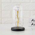 thumbnail image 4 of Beauty and the Beast Eternal Rose with LED Lights Under the Bell Shaped Glass Dome Rose Gift for Women Mother's Day Wedding Valentine's Day Birthday C, 4 of 5