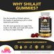 thumbnail image 3 of Suplementos Shilajit Gummies Flamingo sin azúcar, 60 gomitas, 3 of 7