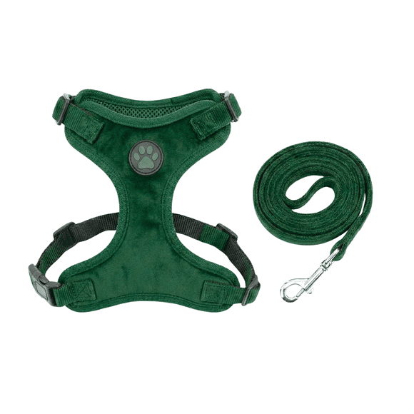 Pechera para Perro XS con Correa Ajustable – Cómoda y Segura para Cachorros