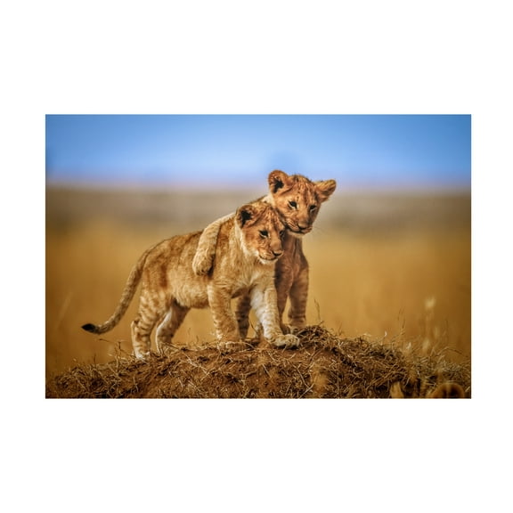 Jeffrey C. Sink 'Brothers For Life' Canvas Art