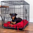 Paws & Pals Wire Dog Crate with Tray (24inch) (Small)
