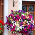 thumbnail image 4 of Decoration Pot Home Decoration Flower Flower Creative Crafts Home Decor, 4 of 6