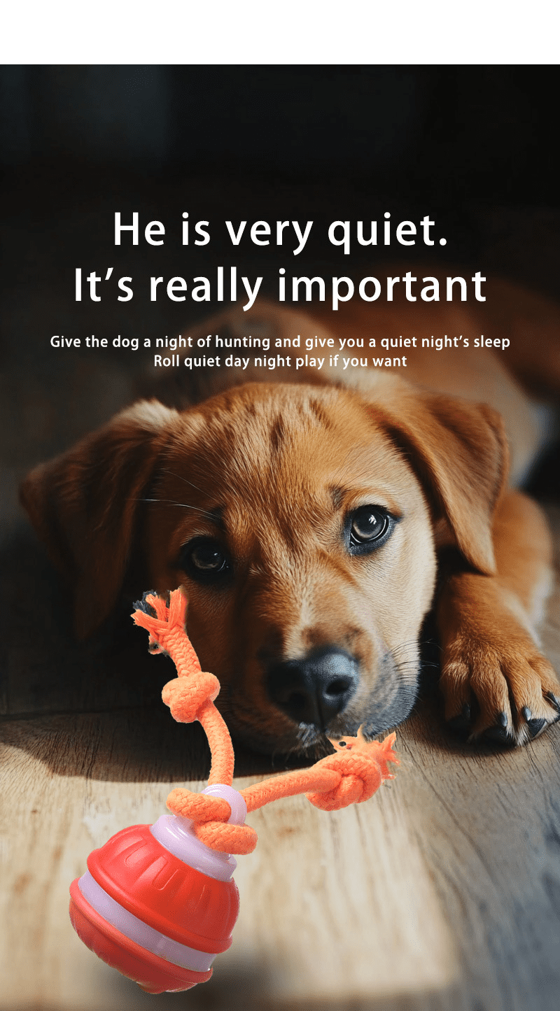 Interactive Dog Toys Ball, Fun Moving Motion Activated Dog Ball Toys to Keep Them Busy, Rechargeable Smart Automatic Rolling Dog Ball for Small Puppy Dogs