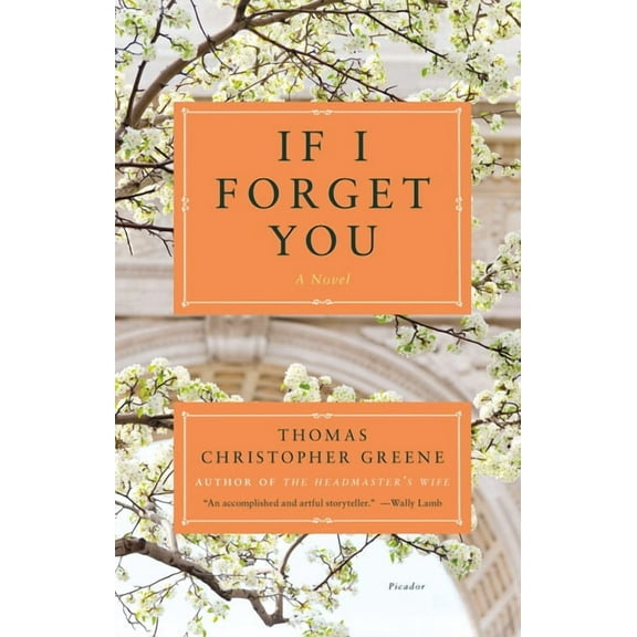 If I Forget You, (Paperback)