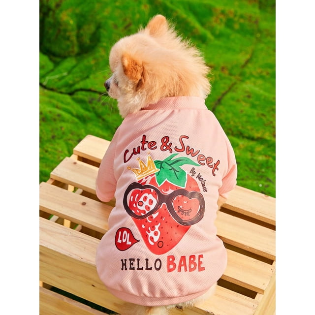PETSIN Petsin Fruity Strawberry Printed Bird's Eye Mesh Breathable Pet T-shirt For Cats And Dogs (1pc)