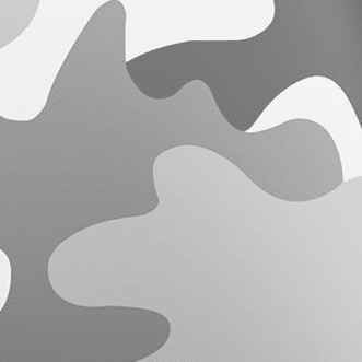 Arctic Camo