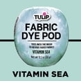 thumbnail image 4 of Tulip Fabric Dye Pod Vitamin Sea (Mint) 12.3 oz, New Dye for Washing Machines, 4 of 11