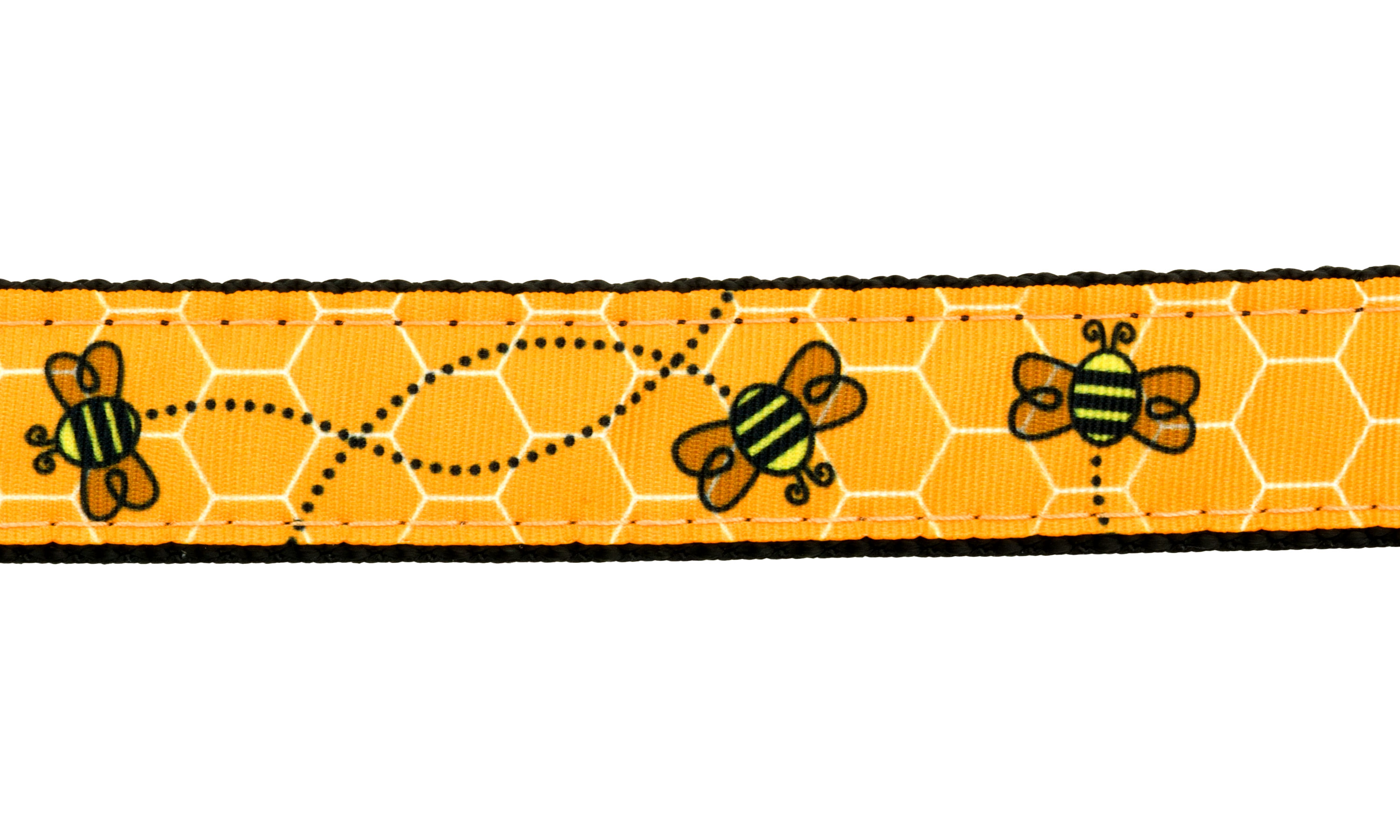 Country Brook Design - Busy Bee Ribbon on Black Nylon Webbing (1 Inch, 20 Yards)