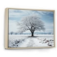 thumbnail image 2 of Designart "White Tree winters solitude" Landscape Trees Floater Framed Canvas Art Print, 2 of 7
