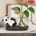 thumbnail image 2 of Shipiny Pandas Shape Hydroponic Vase Glassware, Clear Glass Planter for Fresh Flowers Hydroponic Plants, Cute Desktop Decorative Ornaments for Home Office Table Decor, B, 2 of 3