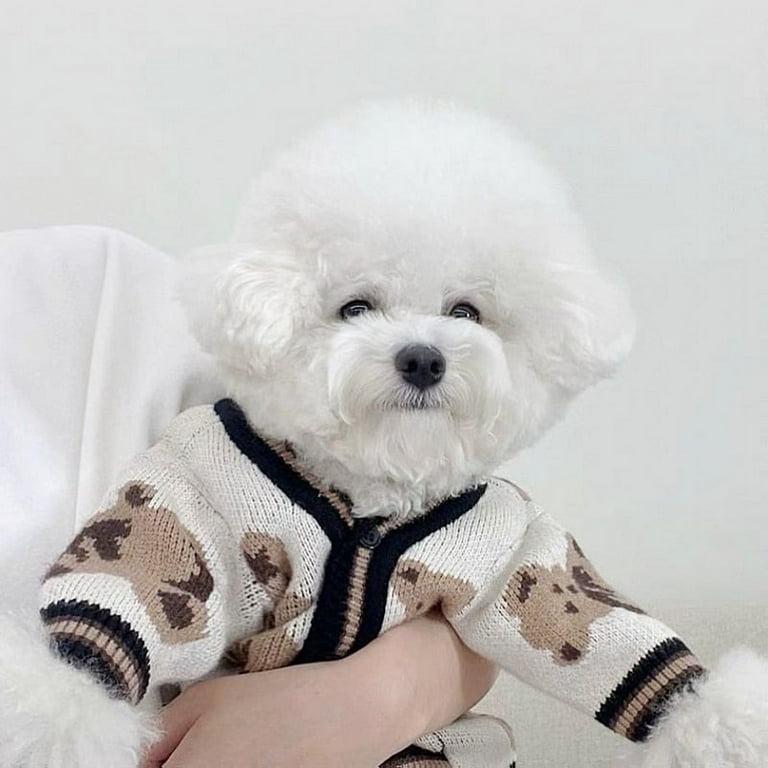 Bichon frise clothes hotsell