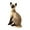 StyleD, variant on Esquirla Simulation Siamese Cats Animal Plush Padding Stuffed for Birthday Gift StyleB