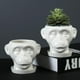 thumbnail image 4 of Forma De Cara De Animal, Maceta De Cerámica Irregular Para Jardín, Escultura, Adornos Artesanales, Maceta Para Decoración Del Hogar Advancent HA041308-03, 4 of 6