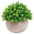 thumbnail image 1 of Artificial Plant Potted Lifelike Round Fake Greenery Plant Faux Plant Decoration, 1 of 10