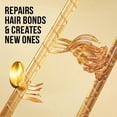 thumbnail image 2 of Shampooing Boucles parfaites Pantene 72 H, 2 of 9