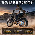 thumbnail image 3 of AMYET G60 Electric Bike for Adults, 750W 28MPH Class 3, 48V 20Ah, 20"x4" Fat Tire Mountain Bike, UL2849, 3 of 11